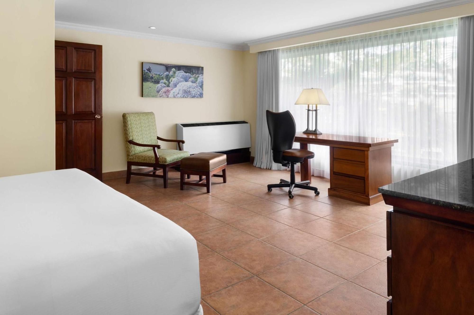 Junior Suite 1 King Bed Lounge Access,1654262731:JPEG