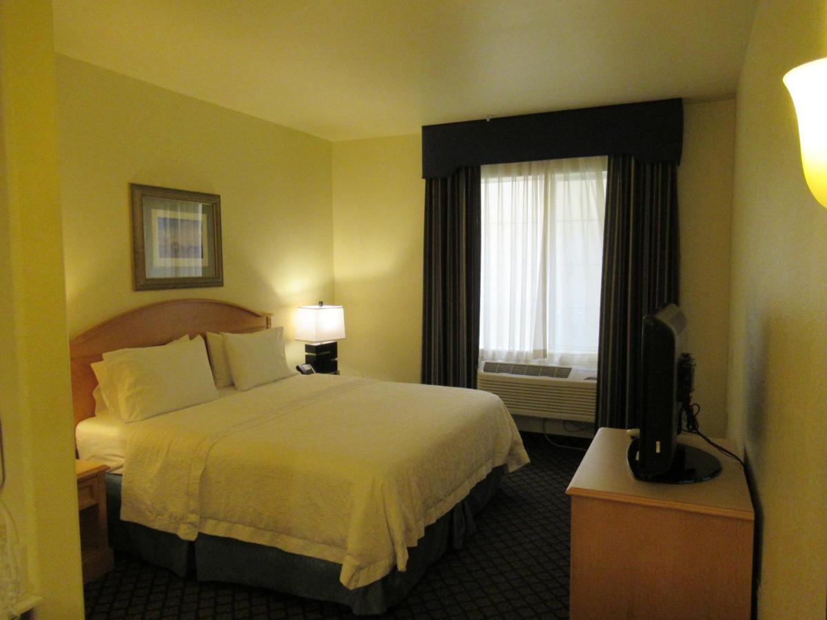 King Suite with Sofa Bed - Non-Smoking